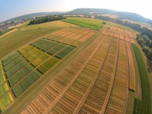 Blick von oben auf landwirtschaftliche Versuchsfelder