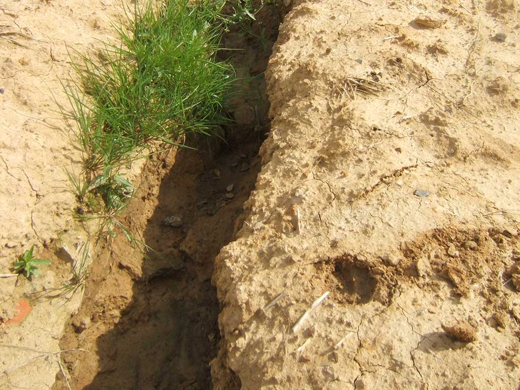 trockener Ackerboden mit Trockenrissen und einem Graben