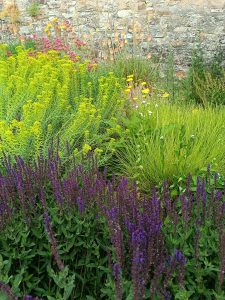 Staudenbeet mit verschieden Stauden unterschiedlicher Farbe. Im Hintergrund befindet sich eine Mauer.