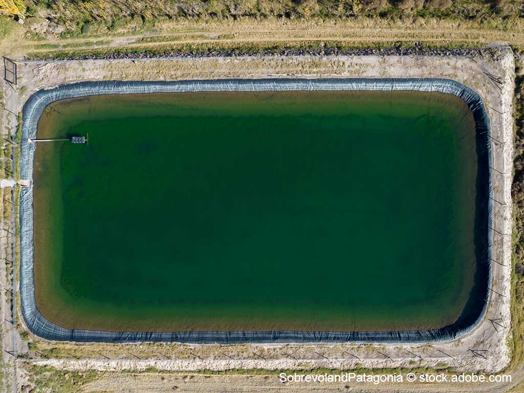 Blick von oben auf ein Erdfolienbecken, das mit Wasser gefüllt ist