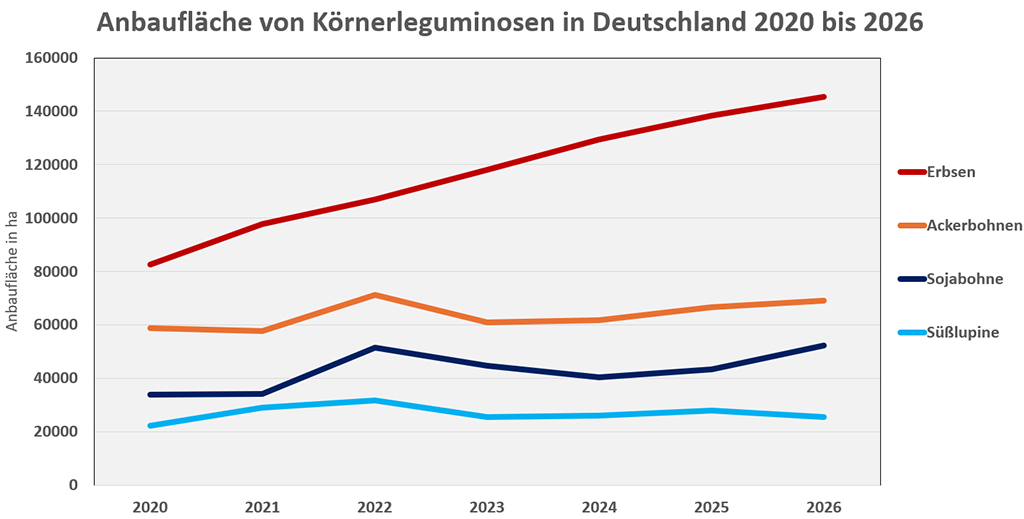 Grafik: Anbaufläche von Körnerleguminosen in Deutschland 2020 bis 2026
