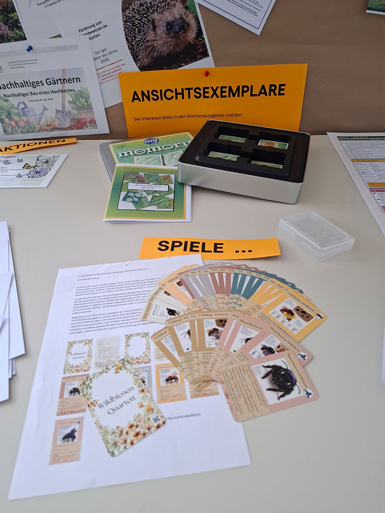 Wildbienen-Quartett – ein Wissensspiel für Jung