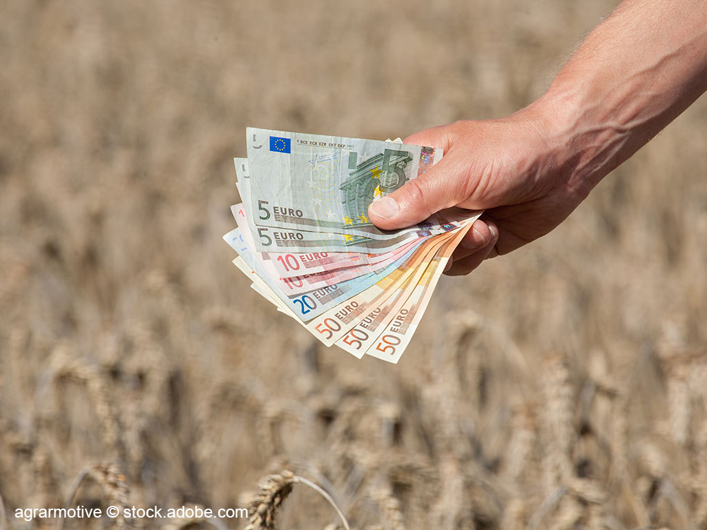 Hand hält mehrere Euro-Geldscheine; im Hintergrund ist ein Getreidefeld zu sehen