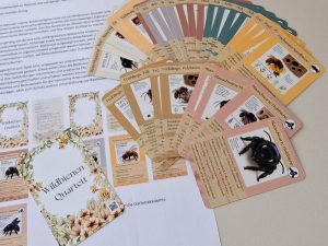 Die Karten des Wildbienen-Quartetts liegen fächerförmig ausgebreitet und vermitteln einen Eindruck, wie das Quartett gestaltet ist.