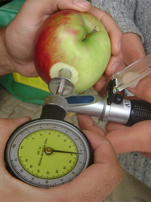 Apfel und Penetrometer
