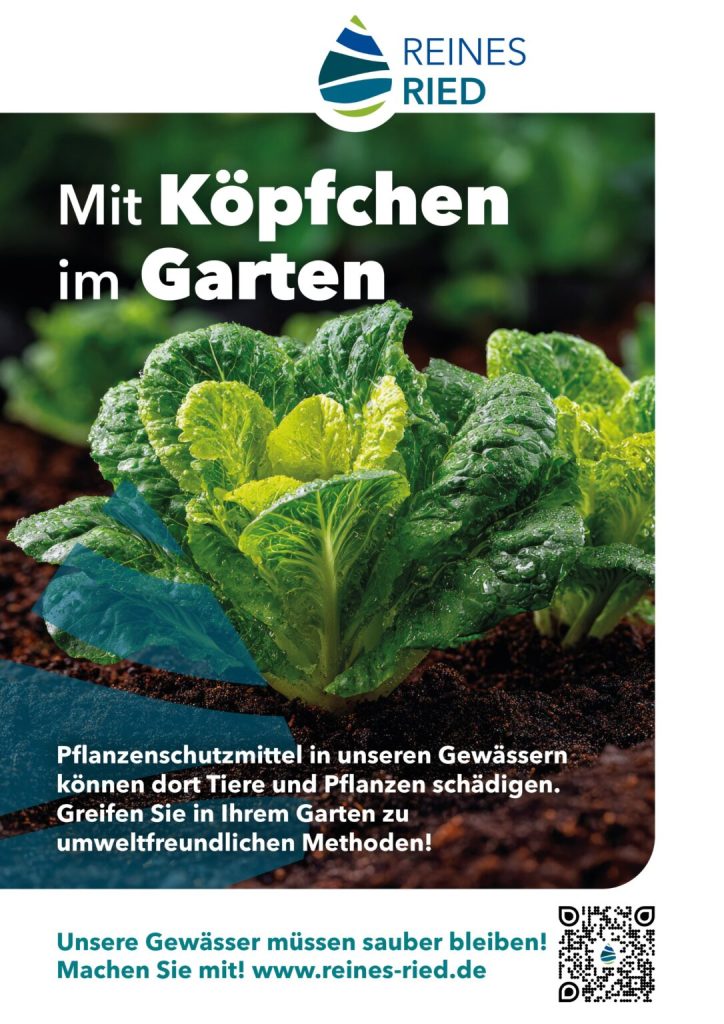 Salatkopf im Beet unter der Überschrift „Mit Köpfchen im Garten“, Unterschrift „Pflanzenschutzmittel in unseren Gewässern können dort Tiere und Pflanzen schädigen. Greifen Sie in ihrem Garten zu umweltfreundlichen Methoden!“