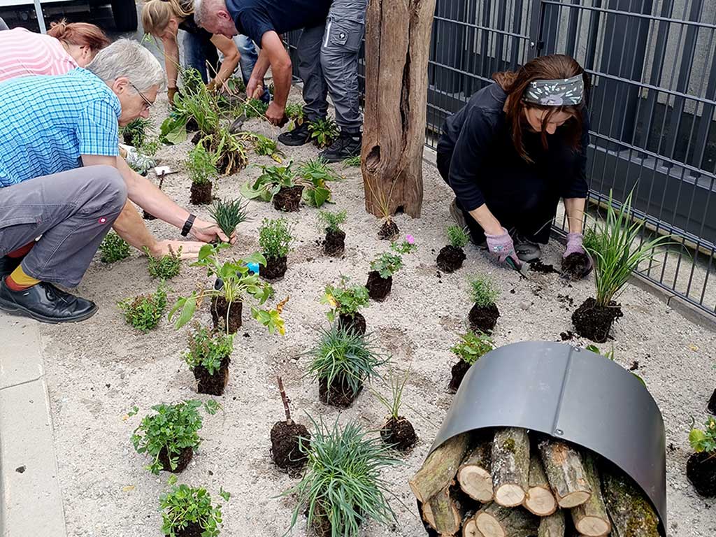 Eine Personengruppe bei der Staudenbeetbepflanzung