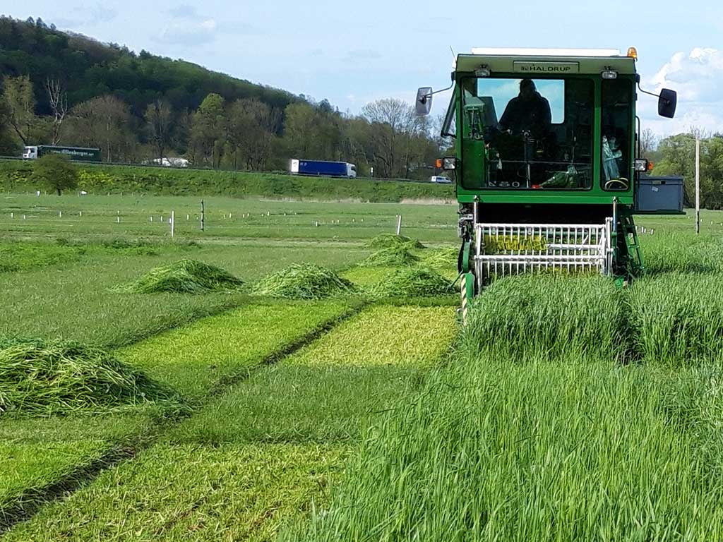 Futterpflanzenvollernter auf einer Grünlandfläche