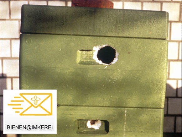 Bienenkasten aus Hartschaum mit zwei Spechtlöchern